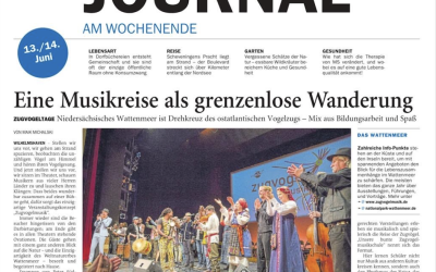 Zugvogelmusik in der NWZ